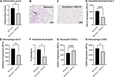 Galectin-3 inhibitor GB0139 protects against acute lung injury by inhibiting neutrophil recruitment and activation